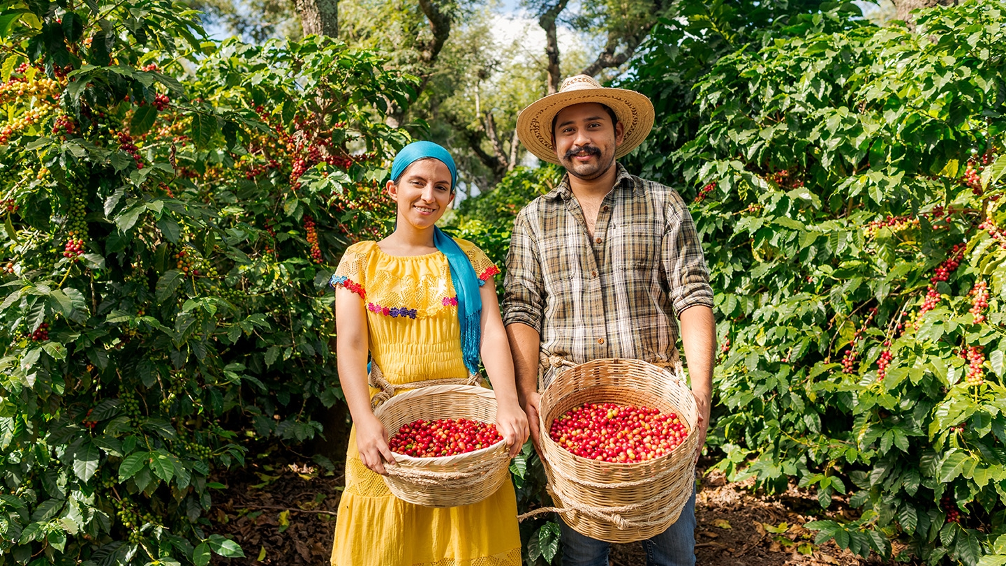 Farmers holding basket of crops